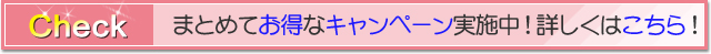 お得なキャンペーン実施中、詳しくはこちら
